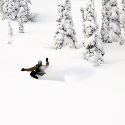 Lib Tech T.Rice Orca C2x Snowboard 25/26 滑雪板- ALL RIDE SKATE