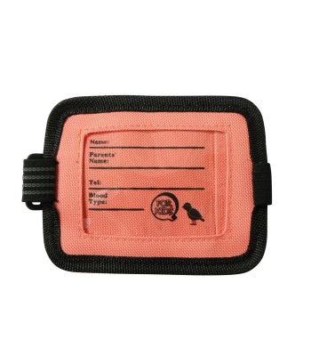 Eb's Pass Arm Classic Junior 兒童手臂式纜車票套 - Pink